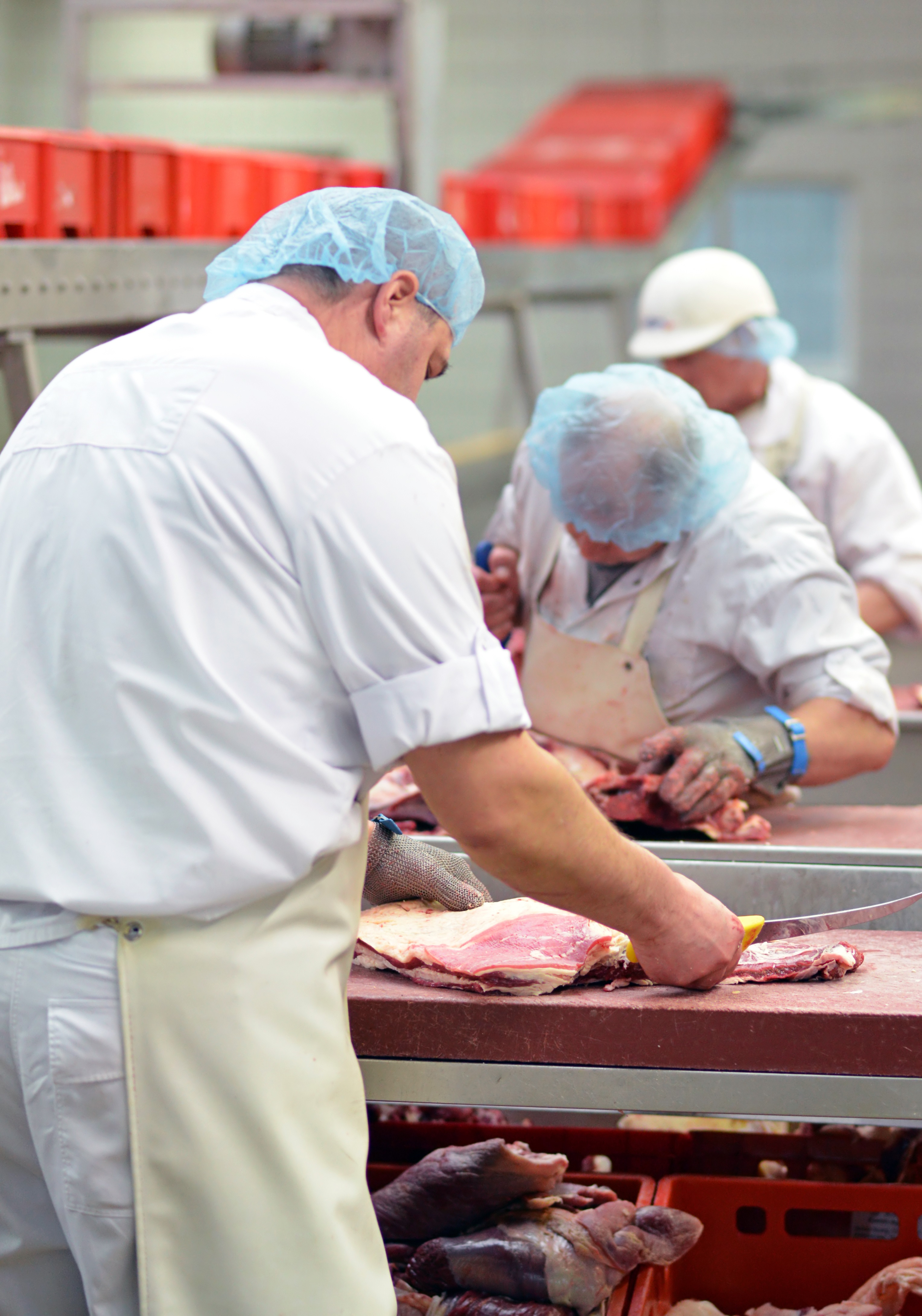 Les risques industriels dans l'agro-alimentaire